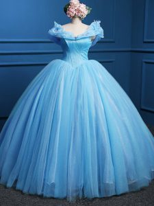 Cheap Sleeveless Floor Length Appliques Zipper 15th Birthday Dress with Baby Blue