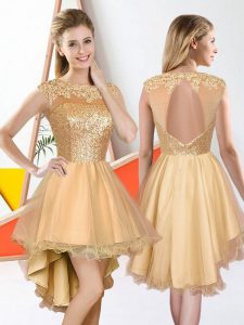 Custom Designed Champagne A-line Organza Bateau Sleeveless Beading and Lace High Low Backless Quinceanera Court Dresses