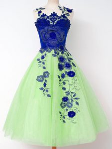 Nice Sleeveless Tulle Lace Up Dama Dress for Quinceanera for Prom and Party and Wedding Party