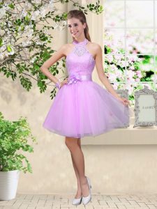 Delicate Lavender Tulle Lace Up Quinceanera Court Dresses Sleeveless Knee Length Lace and Belt
