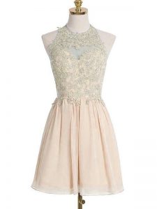 Admirable Chiffon Halter Top Sleeveless Lace Up Appliques Damas Dress in Champagne