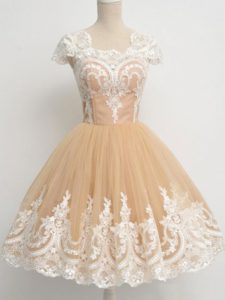 Hot Sale Tulle Cap Sleeves Knee Length Dama Dress for Quinceanera and Lace