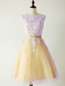 Artistic Gold Sleeveless Tulle Lace Up Quinceanera Dama Dress for Prom and Party and Wedding Party