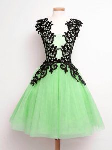 Great Tulle Straps Sleeveless Lace Up Lace Quinceanera Court Dresses in