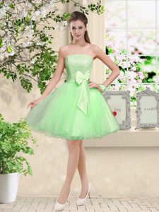 Ideal Sleeveless Organza Lace Up Dama Dress for Prom and Party