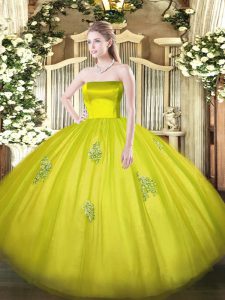 Olive Green Ball Gowns Appliques Vestidos de Quinceanera Zipper Tulle Sleeveless Floor Length