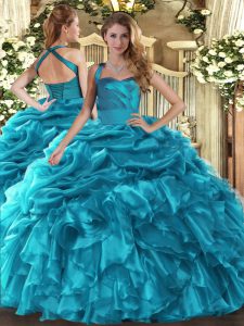 Organza Sleeveless Floor Length Quince Ball Gowns and Ruffles and Pick Ups