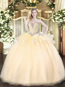 Popular Ball Gowns 15 Quinceanera Dress Champagne Sweetheart Organza Sleeveless Floor Length Lace Up