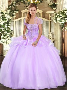 Pretty Organza Sleeveless Floor Length 15 Quinceanera Dress and Appliques