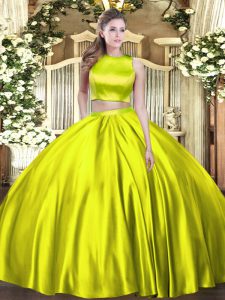 Olive Green Ball Gowns Ruching 15 Quinceanera Dress Criss Cross Tulle Sleeveless Floor Length