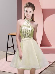 Chiffon Sleeveless Mini Length Dama Dress for Quinceanera and Sequins