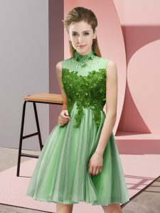 Apple Green Tulle Lace Up High-neck Sleeveless Knee Length Court Dresses for Sweet 16 Appliques