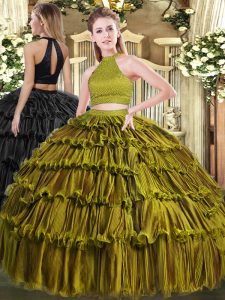 Artistic Olive Green Sleeveless Organza Backless Quinceanera Gowns for Military Ball and Quinceanera