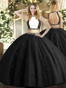 Best Floor Length Ball Gowns Sleeveless Black Sweet 16 Quinceanera Dress Backless