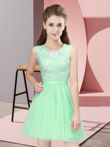 Colorful Sleeveless Lace Side Zipper Court Dresses for Sweet 16