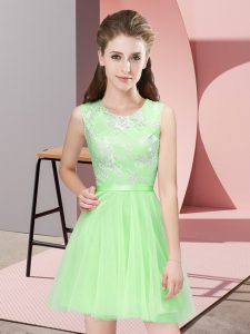 Sleeveless Side Zipper Mini Length Lace Court Dresses for Sweet 16