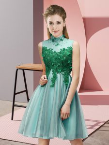 Attractive Empire Court Dresses for Sweet 16 Light Blue High-neck Tulle Sleeveless Knee Length Lace Up