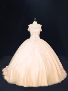 Pretty Peach Sleeveless Tulle Court Train Zipper 15th Birthday Dress for Sweet 16 and Quinceanera