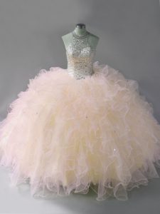 Fashion Floor Length Ball Gowns Sleeveless Pink Quinceanera Dress Lace Up