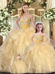 Glittering Champagne Sleeveless Organza Lace Up 15th Birthday Dress for Sweet 16 and Quinceanera