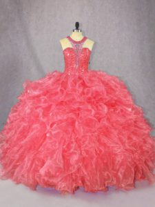 Edgy Organza Sleeveless Floor Length 15th Birthday Dress and Beading and Ruffles