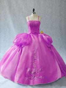 Lilac Ball Gowns Appliques Quinceanera Dress Lace Up Organza Sleeveless Floor Length