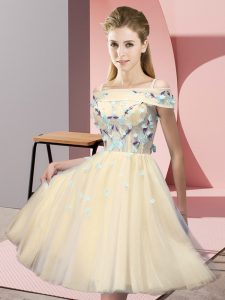 Lovely Short Sleeves Lace Up Knee Length Appliques Quinceanera Court Dresses