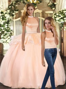 Ideal Floor Length Ball Gowns Sleeveless Peach Ball Gown Prom Dress Backless