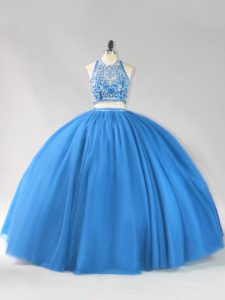 Floor Length Blue Ball Gown Prom Dress Strapless Sleeveless Backless