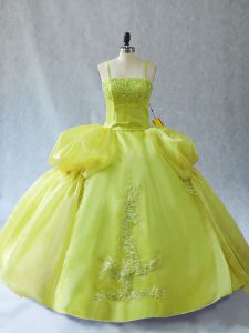 Fantastic Yellow Green Straps Lace Up Appliques Quinceanera Gowns Sleeveless