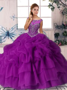 Ball Gowns Sleeveless Purple Sweet 16 Quinceanera Dress Brush Train Zipper