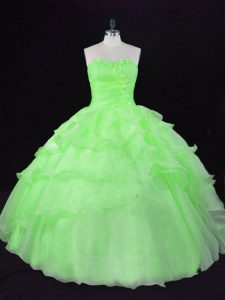 Delicate Sleeveless Organza Lace Up Quinceanera Gowns for Sweet 16 and Quinceanera