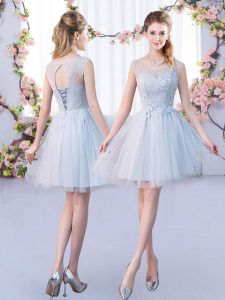 Fashionable Tulle Sleeveless Mini Length Quinceanera Court of Honor Dress and Lace