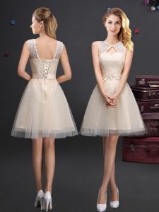 Scoop Sleeveless Lace Up Damas Dress Champagne Tulle