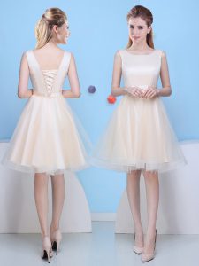 New Arrival Scoop Sleeveless Lace Up Quinceanera Court of Honor Dress Champagne Tulle