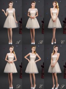 A-line Quinceanera Dama Dress Champagne V-neck Tulle Sleeveless Mini Length Lace Up