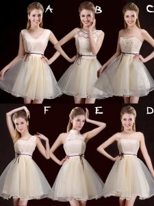 Exceptional Mini Length A-line Sleeveless Champagne Court Dresses for Sweet 16 Lace Up