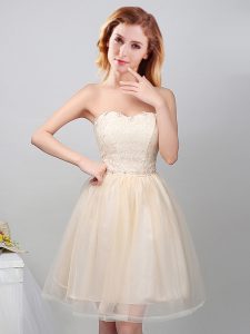 Stylish Tulle Sweetheart Sleeveless Lace Up Lace and Appliques Damas Dress in Champagne