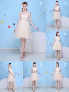 Champagne A-line Bowknot Court Dresses for Sweet 16 Lace Up Tulle Sleeveless Knee Length