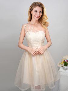 A-line Dama Dress Champagne One Shoulder Tulle Sleeveless Mini Length Lace Up