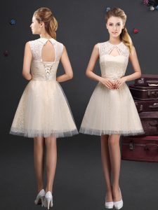 Fine Champagne Lace Up Dama Dress Lace and Appliques and Belt Sleeveless Mini Length