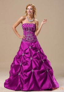 Beautiful Sweet Sixteen Quinceanera Dress with Pick-ups for Custom Made