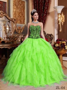 Spring Green Sweetheart Organza Beaded Quinceanera Dress with Embroidery