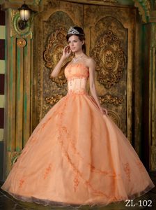 Orange Strapless Organza Quinceanera Dress with Appliques on Promotion