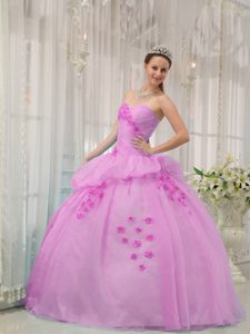 Pink Sweetheart Organza Quinceanera Dresses with Appliques on Promotion