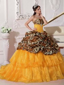 Leopard and Organza Quinceanera Dresses with Sweep Train and Appliques