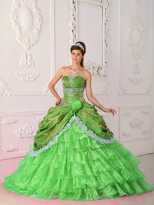 Spring Green Strapless Organza and Taffeta Lace Quinceanera Dress on Sale