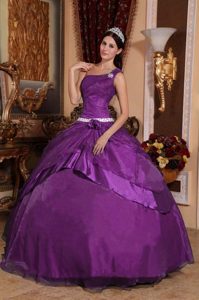 2014 Dark Purple One-shoulder Organza and Taffeta Quinceanera Dress with Appliques