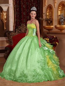 2014 Apple Green Sweetheart Organza Quinceanera Dress with Embroidery and Ruffles