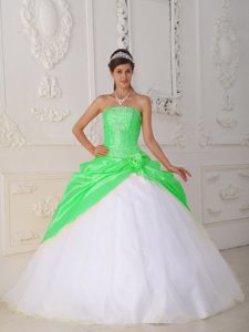 Spring Green Taffeta and White Organza Quinceanera Dress with Appliques and Flower